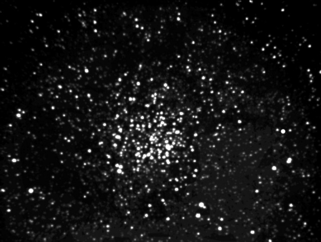 M11 Open Cluster